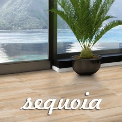 SEQUOIA 15x90