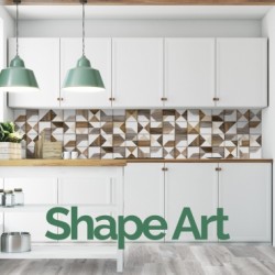 SHAPE ART 