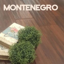 MONTENEGRO 