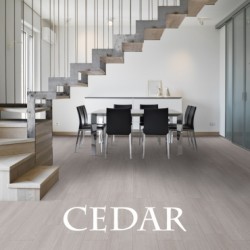 CEDAR 