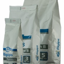 Rigicem B